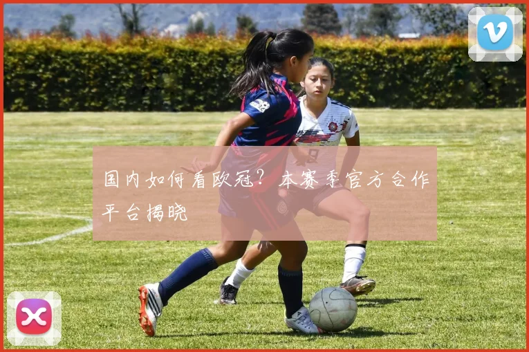 国内如何看欧冠?本赛季官方合作平台揭晓